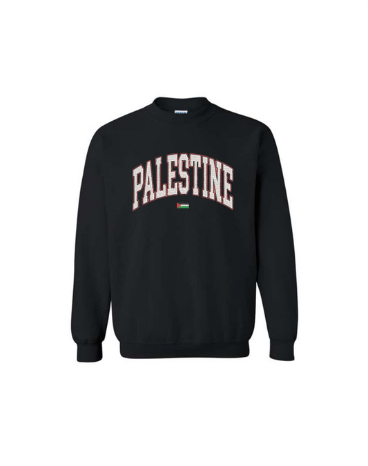 Embroidered Palestine Varsity Letters | Crewneck Sweatshirt